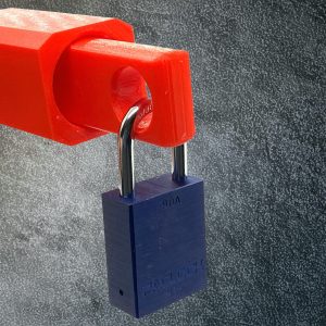 Deluxe Universal Lock Holder Elite